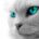 Avatar photo
